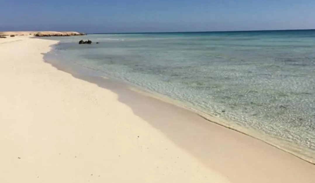 🏖️🌊 Sharm El Luli & El Qulaan Tour – Marsa Alam 🐠🌴 Sharm EL Luli /IMG-20260703-WA0000.jpg